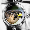 Falcon Collection от Angular Momentum 